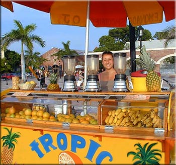 Tropical Drinks- Fresh Squeezed Orange Juice, Smoothies and Lemonade